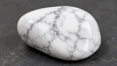 a white howlite stone with grey web-like veining