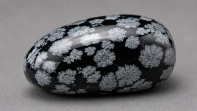 black snowflake obsidian with grey-white snowflake patterns