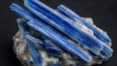 long blue bladed kyanite crystals