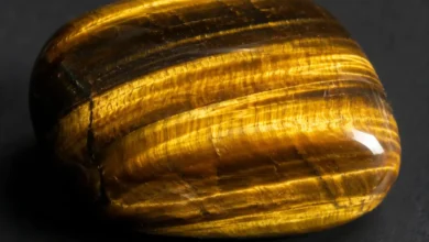 a polished tiger's eye stone showing golden chatoyant bands
