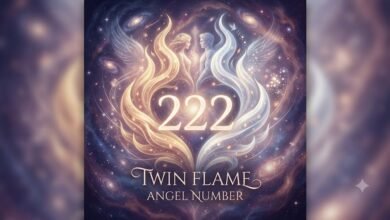 222 twin flame angel number with a mirrored flame motif