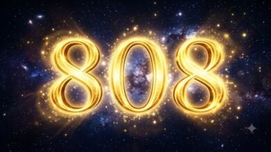 808 angel number in glowing golden numerals