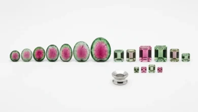 Watermelon Tourmaline price