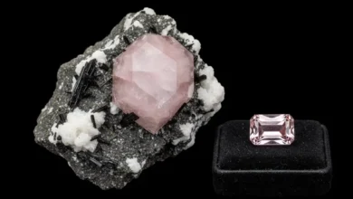 Zektzerite Meaning