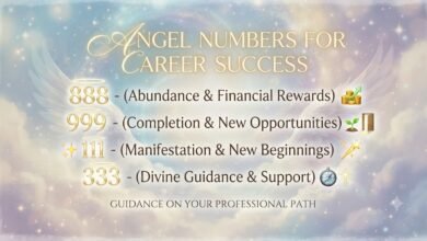 angel numbers for career on a soft background