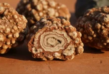 bauxite meaning