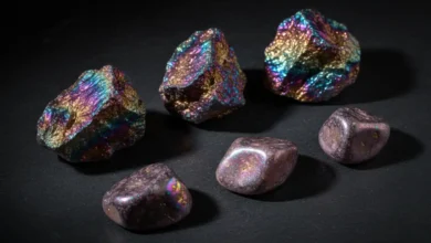 bornite meaning