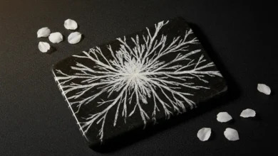 chrysanthemum stone meaning