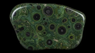 kambaba jasper meaning