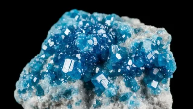 kinoite meaning