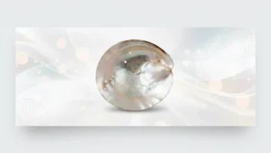 mother of pearl meaning