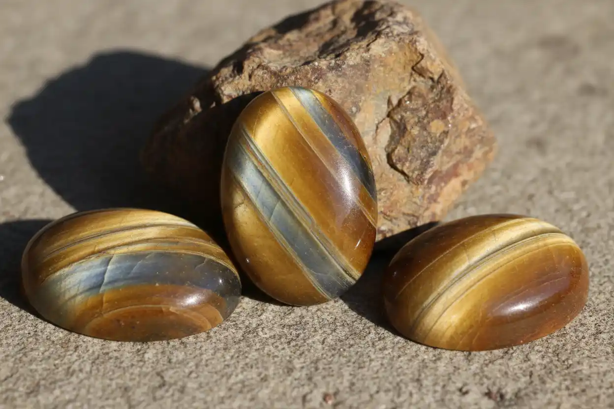 nellite meaning