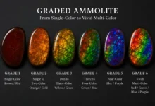 ammolite gems ranging from single-color to vivid multi-color iridescence