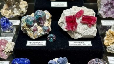 rare gemstone specimens including alexandrite and red beryl
