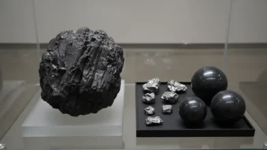 shungite meaning