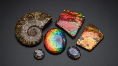 types of Ammolite