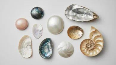 types of mother of pearl