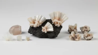 where to buy real Stilbite