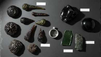 where to buy real Tektite