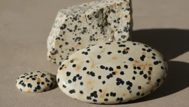 dalmatian jasper healing properties