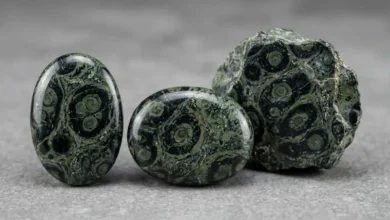 kambaba jasper healing properties