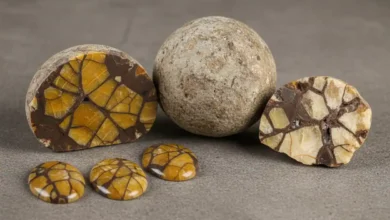 septarian healing properties