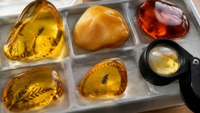 amber quality grading