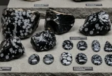 snowflake obsidian benefits